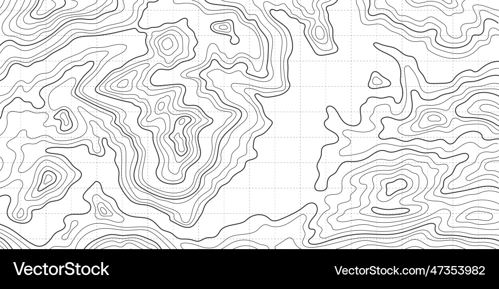 Topographic Line Pattern Vector Image