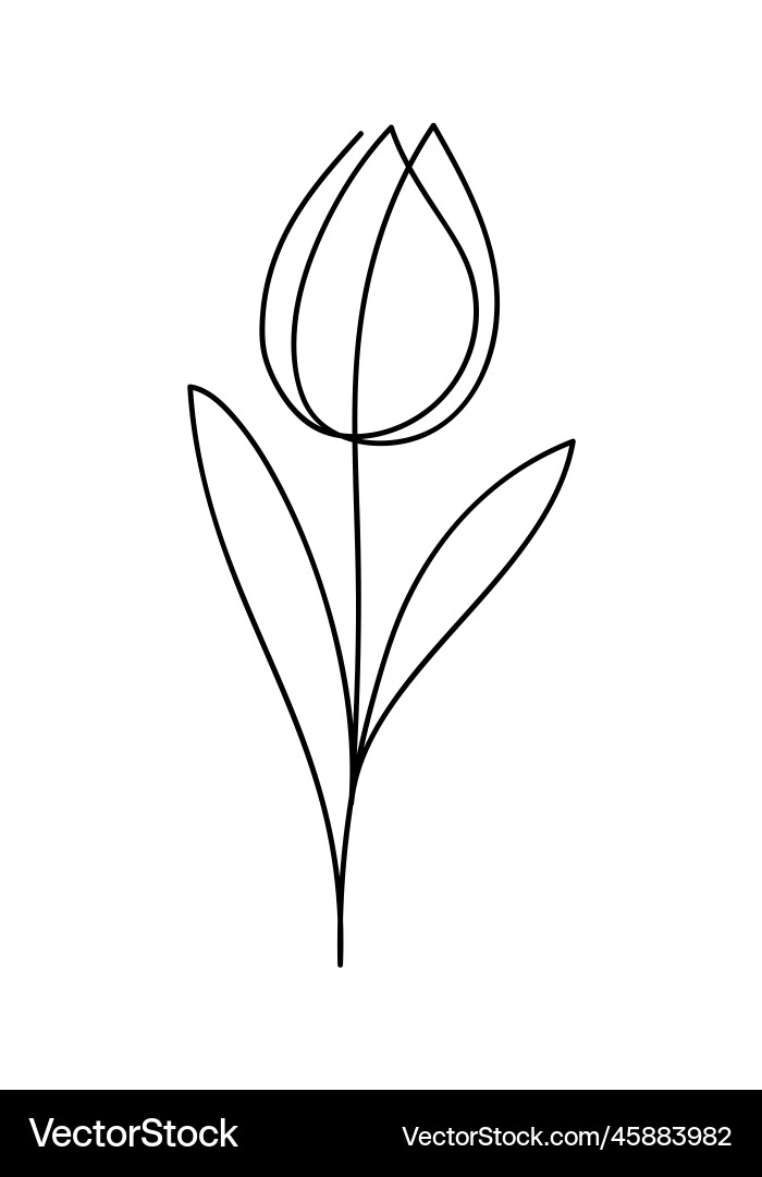 Tulip drawing in single continuous line art style Tulip drawing in single continuous line art style vector image