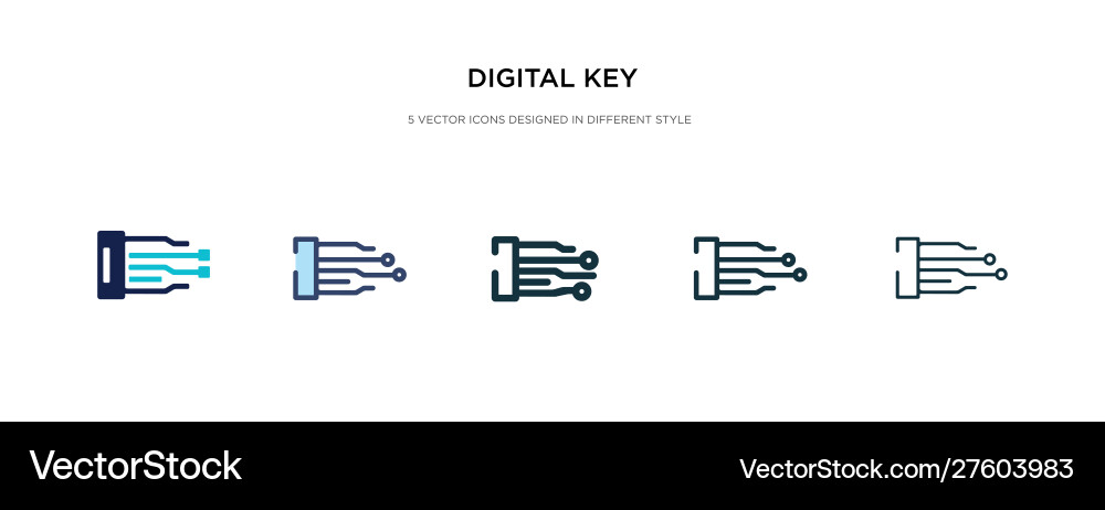 Digital key icon in different style two colored Digital key icon in different style two colored vector image