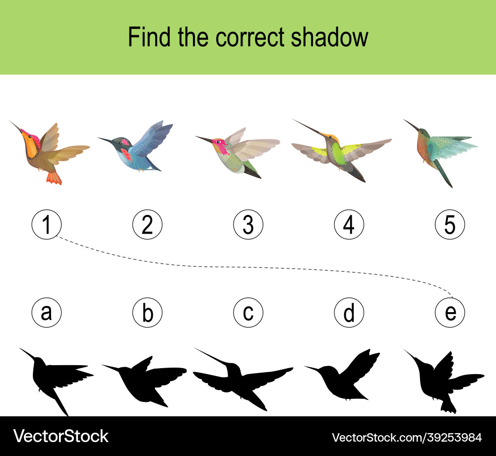 Find the correct shadow puzzle with different Vector Image