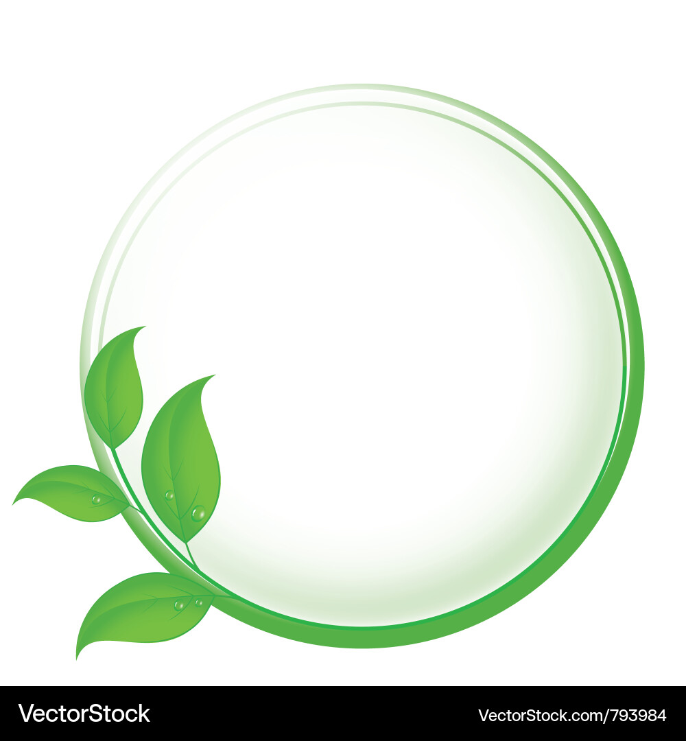 Spring Leaf Circle Background vector image