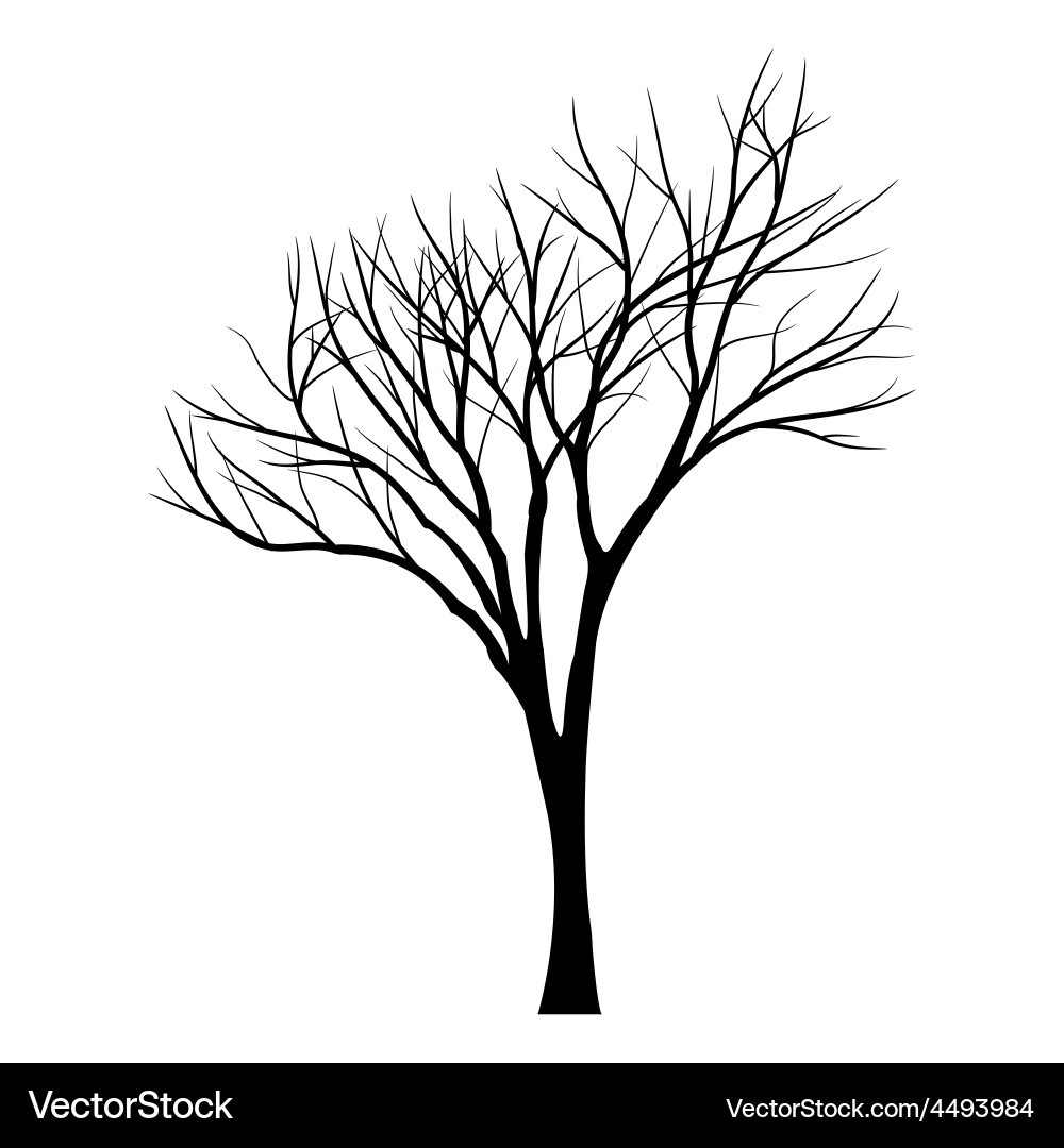 Trees with dead branch Vector Image