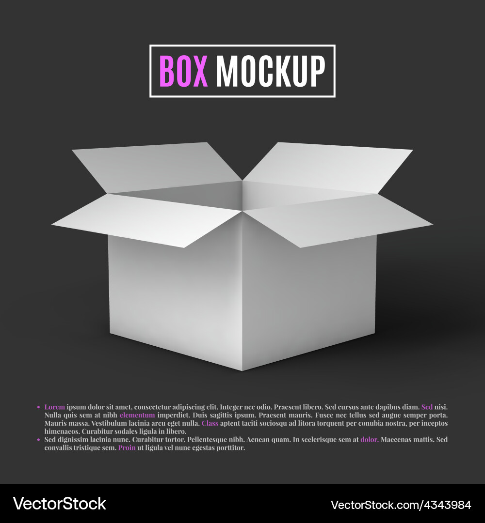 White Open Box Mockup Template Vector Image