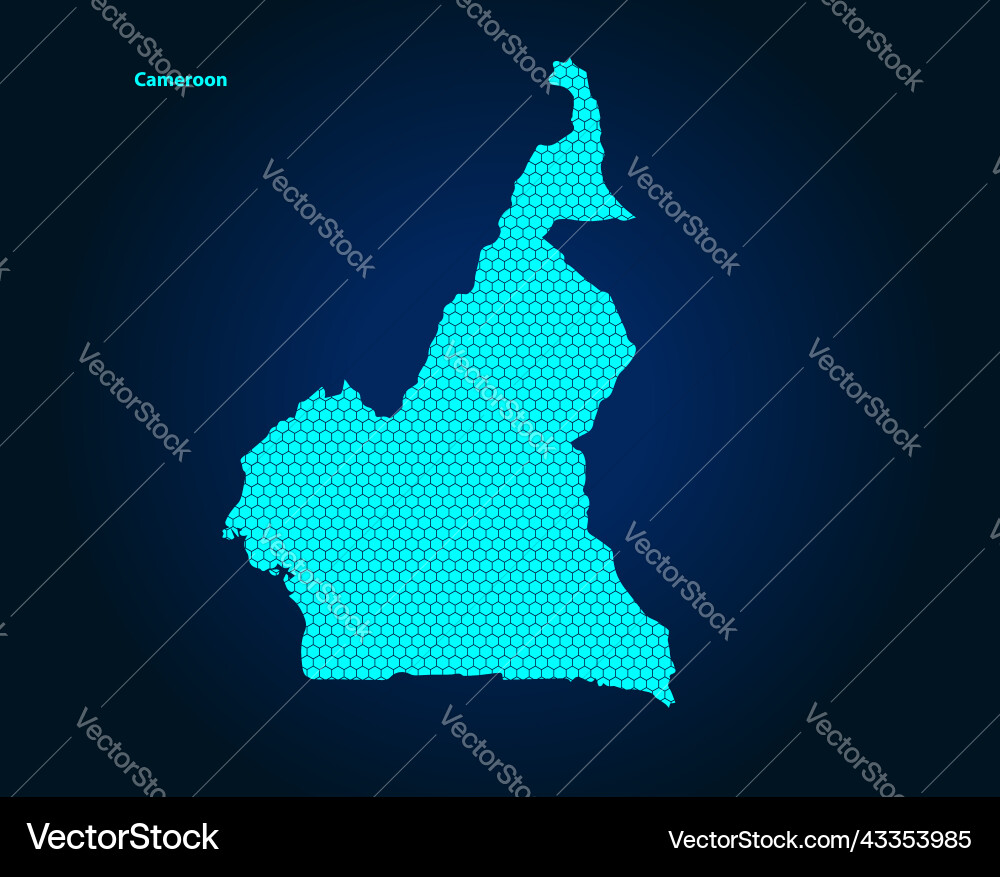 Honey comb or hexagon textured map of cameroon Vector Image
