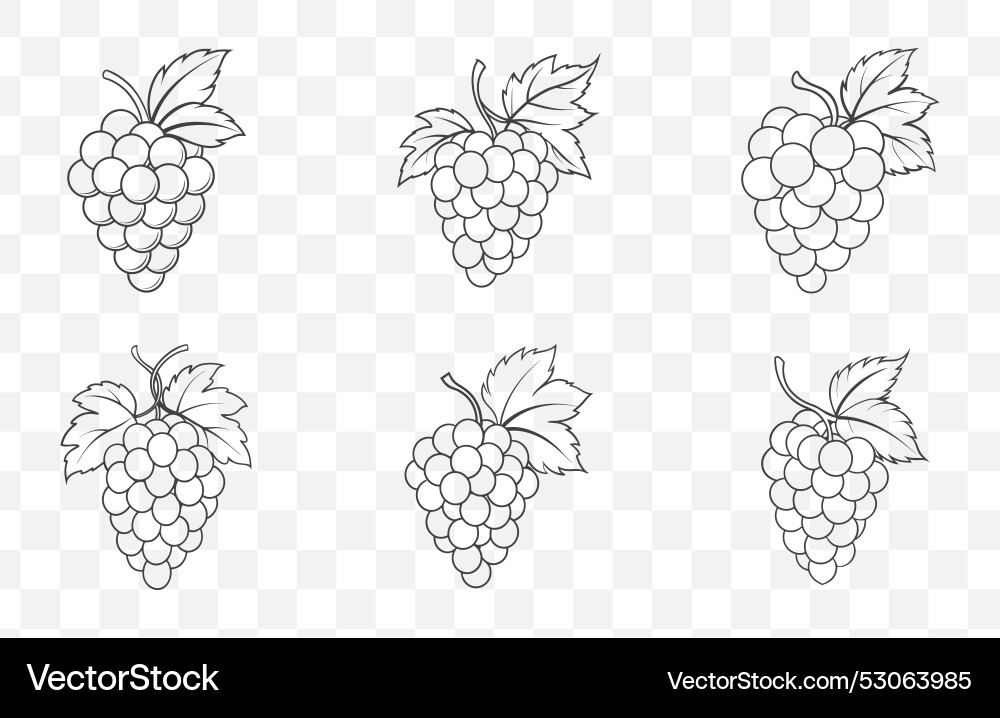 Print grape line art set featuring detailed Vector Image