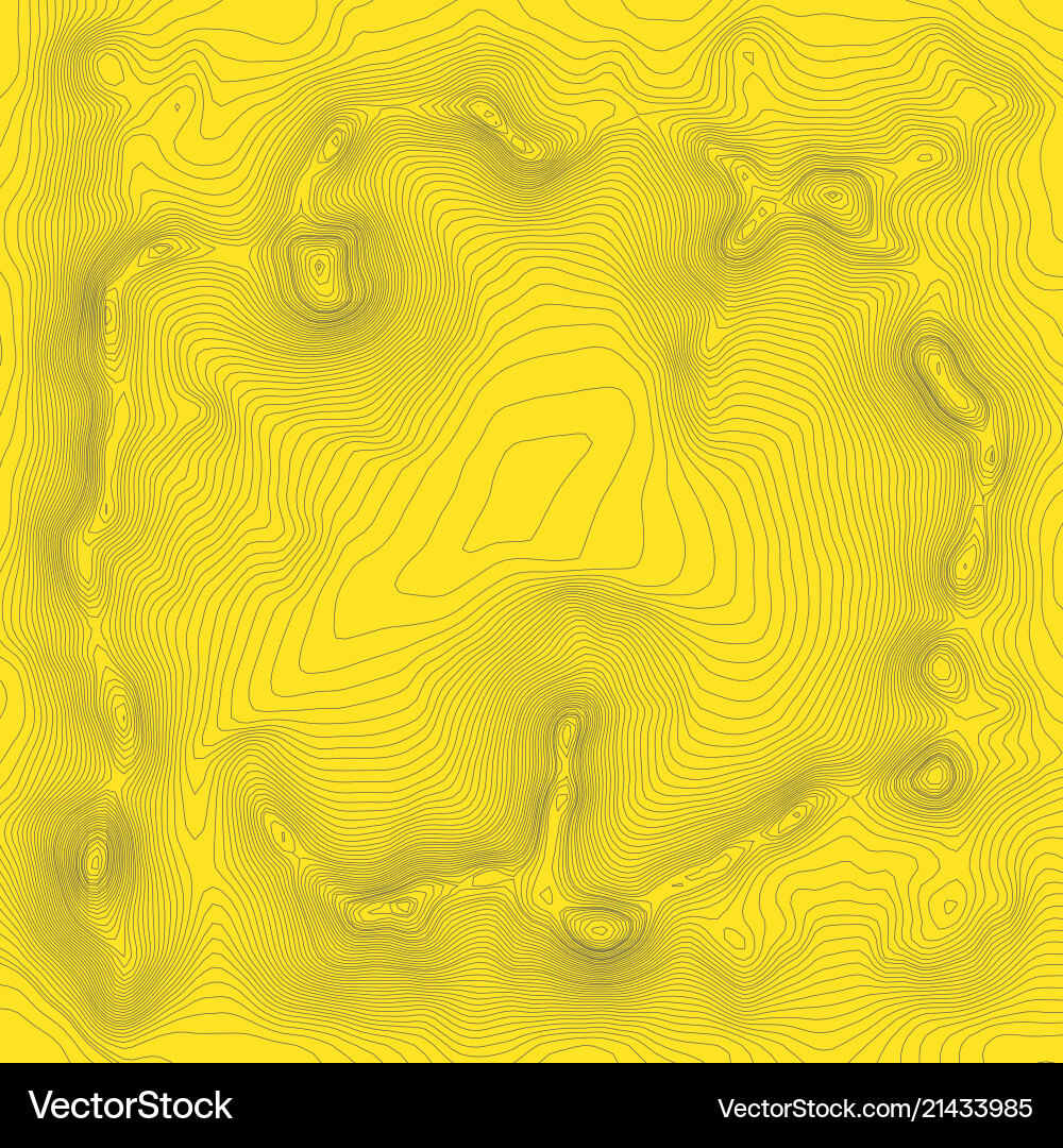 Topographic map background concept with space Topographic map background concept with space vector image