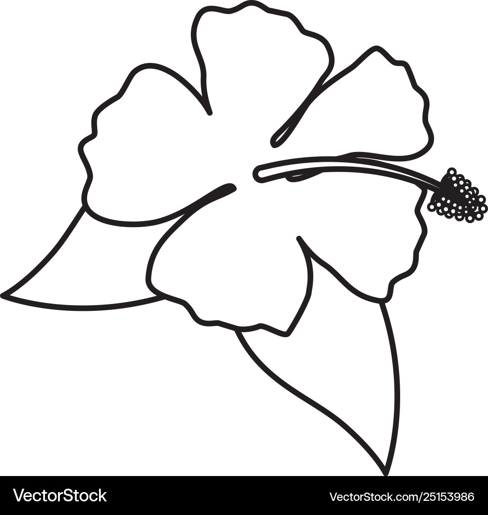 Exotic tropical flower and leafs Vector Image