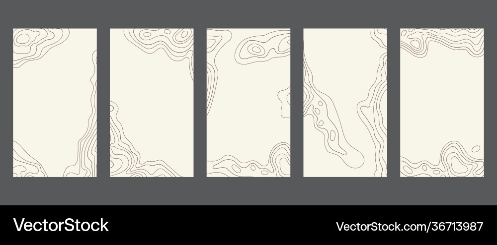 Contour lines on topographic maps geographic map Contour lines on topographic maps geographic map vector image