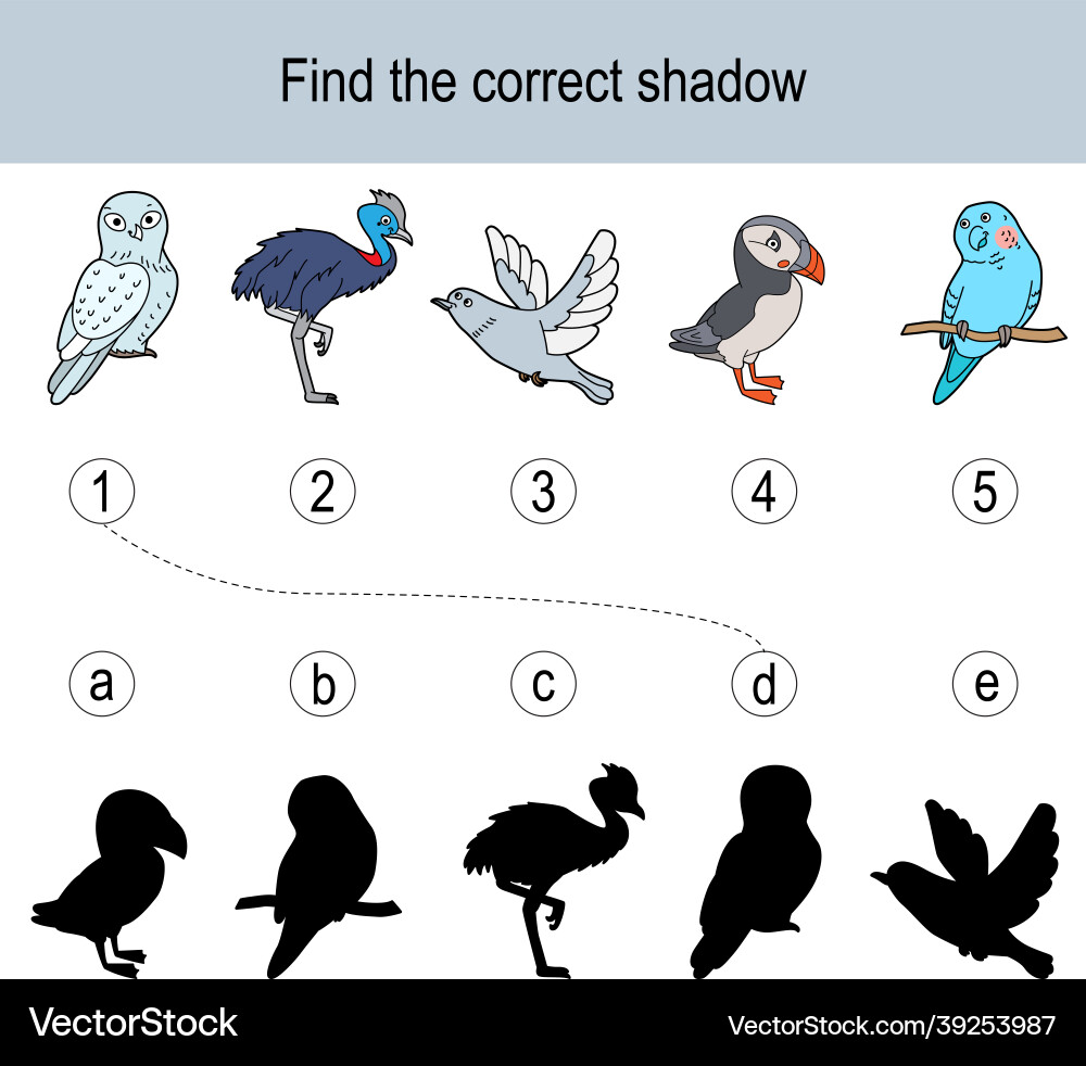 Find the correct shadow puzzle with different Find the correct shadow puzzle with different Vector Image
