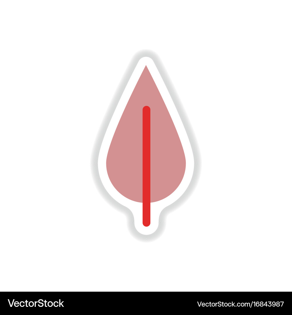 Label with leaf shadow icon design collection vector image