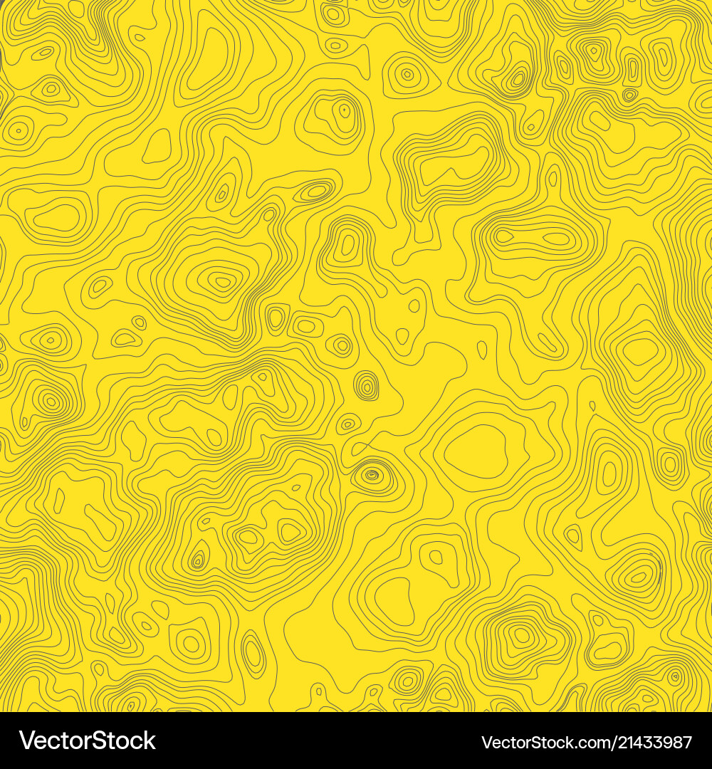 Topographic map background concept with space Topographic map background concept with space vector image