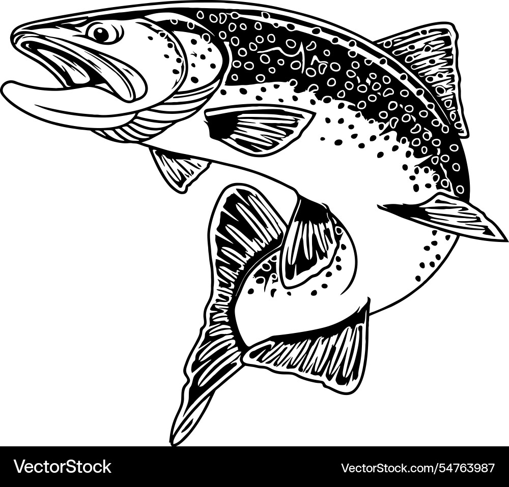 Trout Fishing Logo - Trout Illustration Vector Image