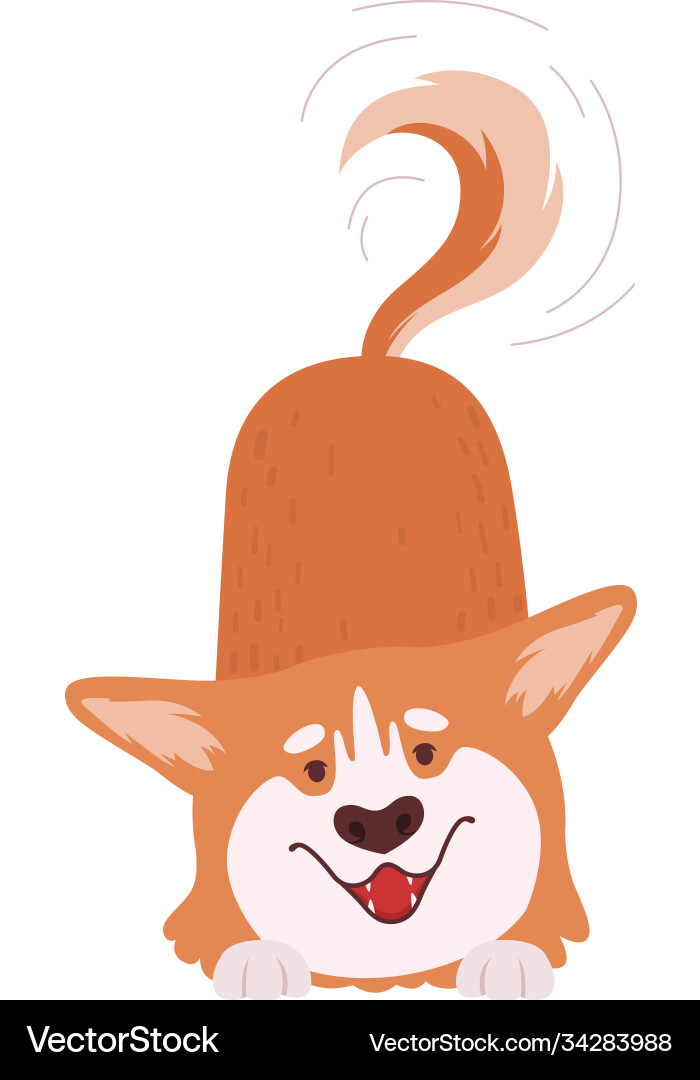 Adorable Welsh Corgi Vektorbild