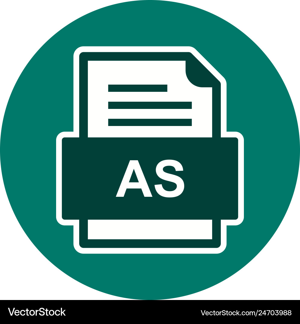 As file document icon Vector Image