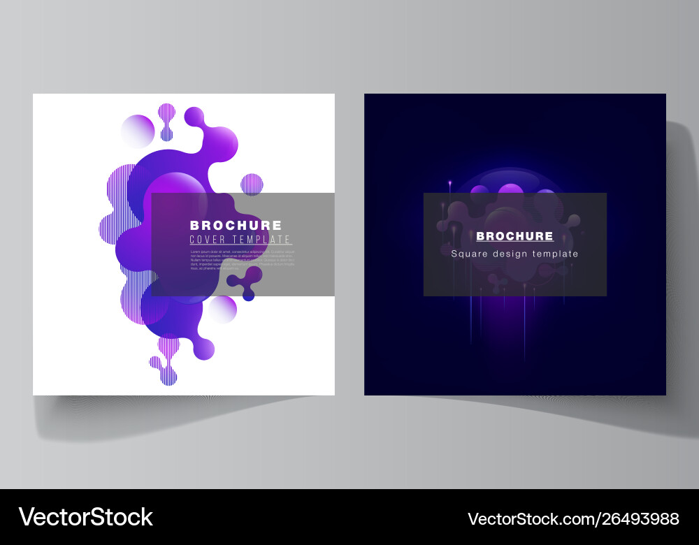 Minimal layout two square format Minimal layout two square format vector image