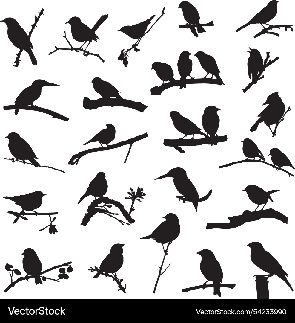 Bird and Branch Silhouettes Vector Image