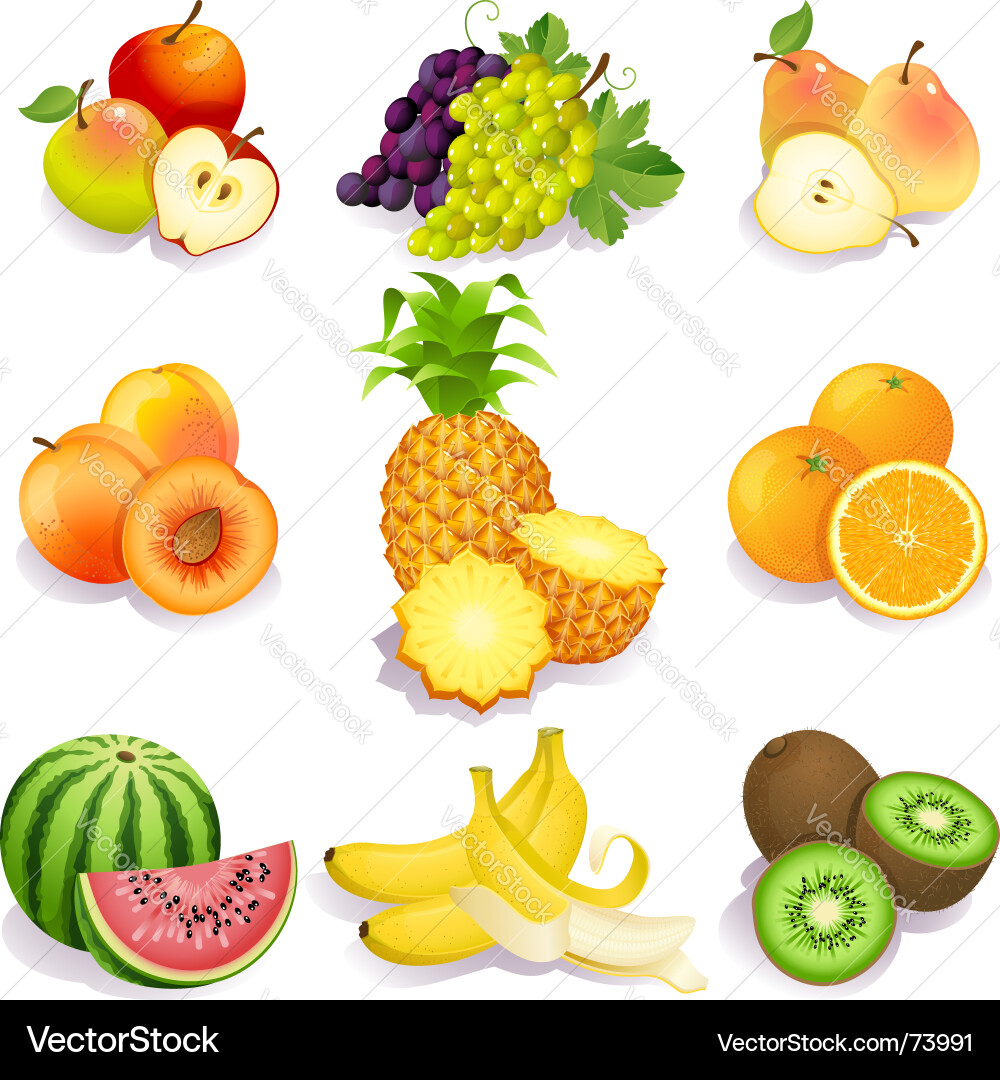 Frische Sommerfrüchte Vektorbild