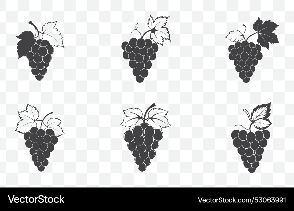 Print grape line art set Vector Image
