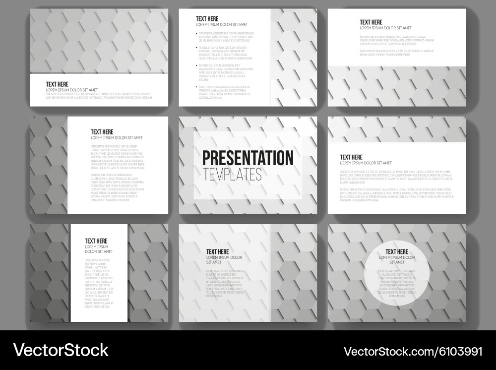Set of 9 templates for presentation slides vector image
