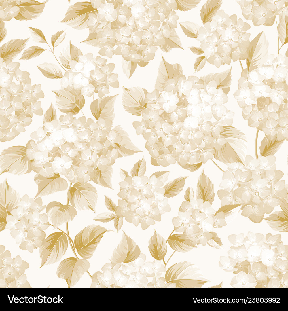 Blooming flower of golden hydrangea on white Blooming flower of golden hydrangea on white vector image