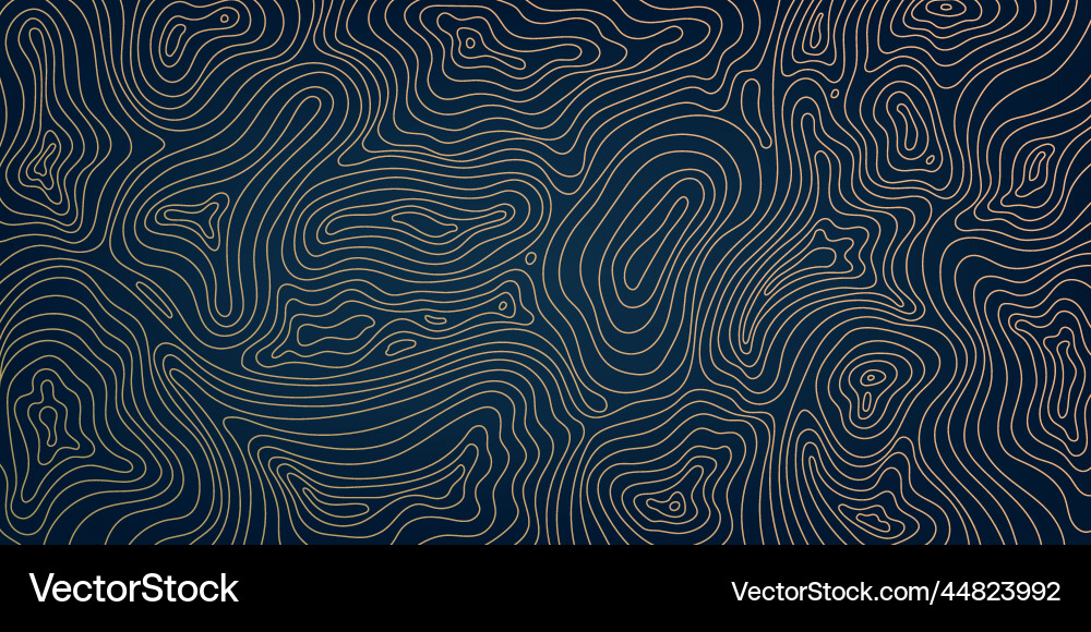 Topographic Contour Pattern Vector Image