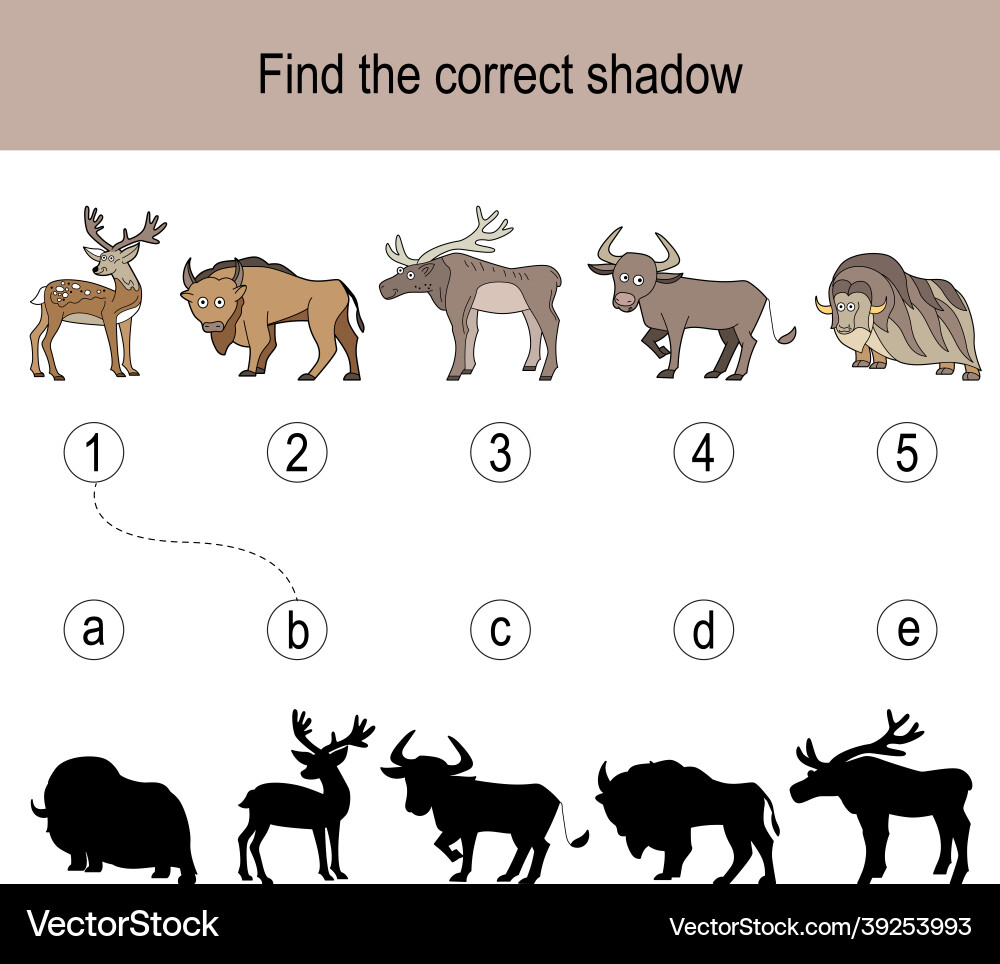 Find the correct shadow puzzle with different Vector Image