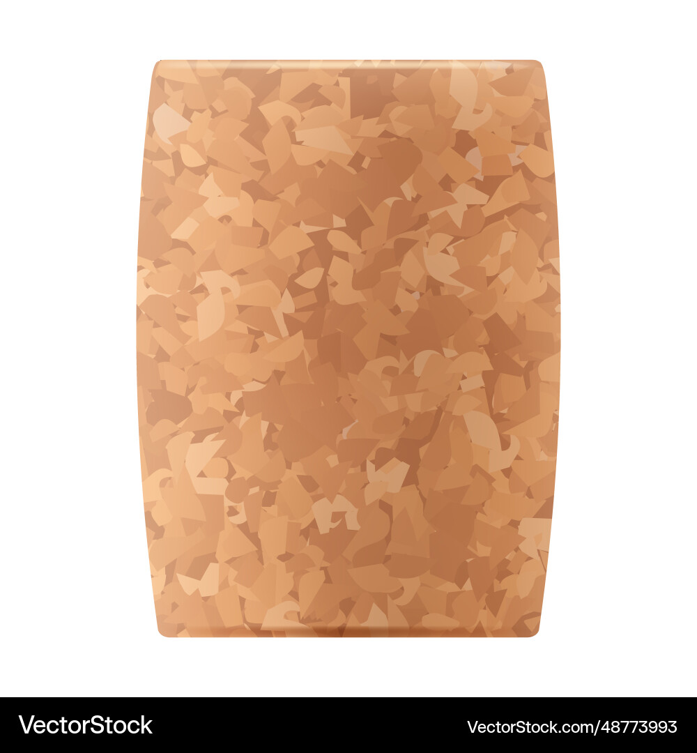 Realistic image of an unused cork with texture vector image