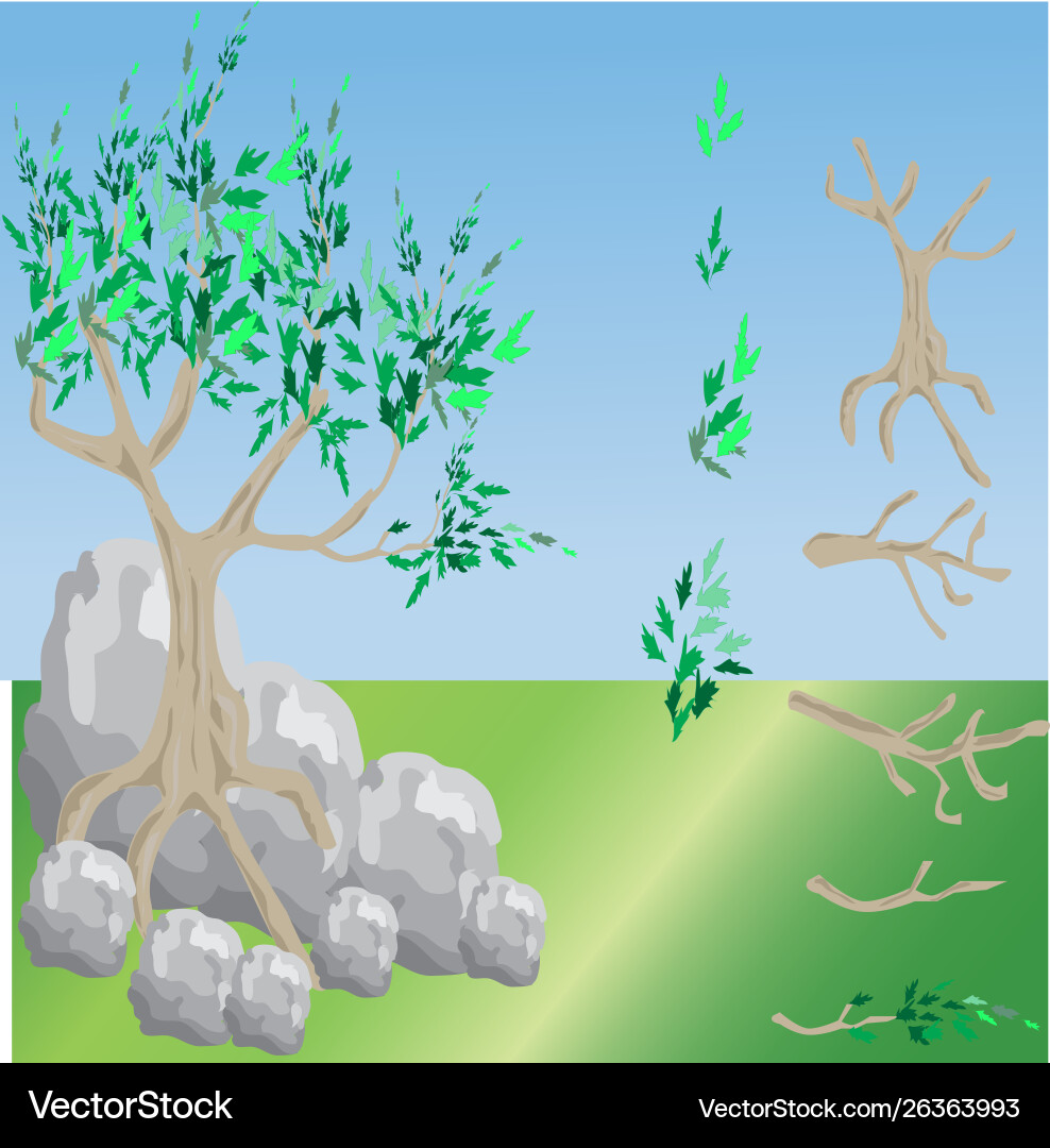 Tree and branches set vector image