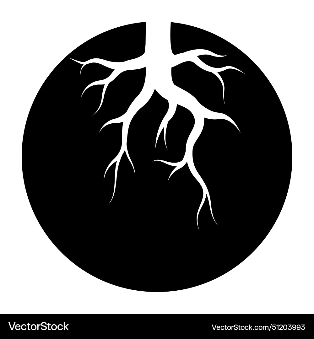 Tree root icon template Vector Image
