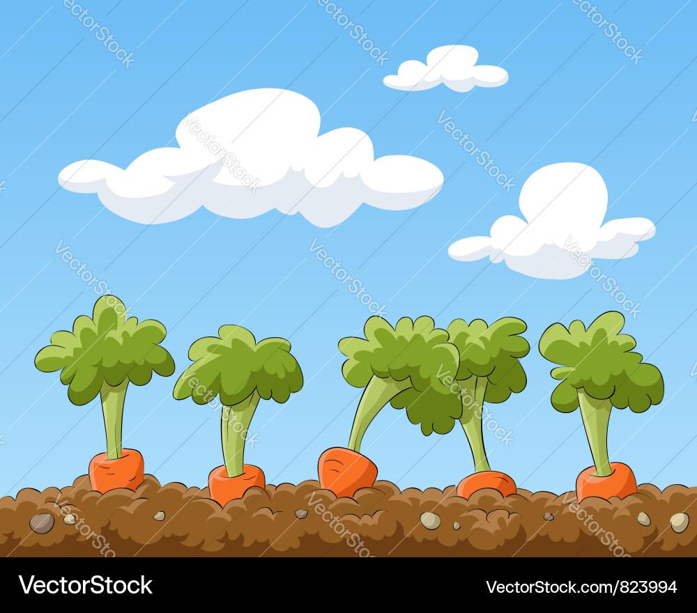 Cartoon Carrot Garden Vector Image