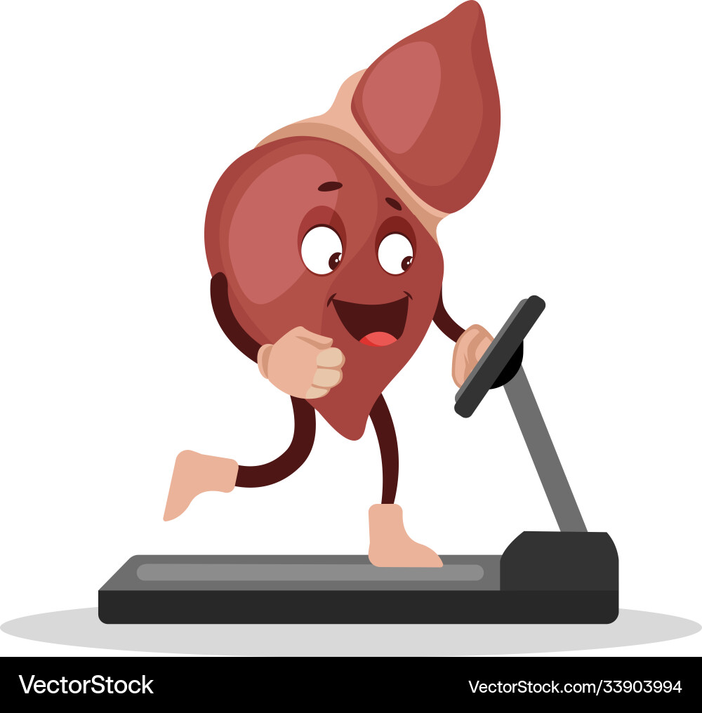 Liver Royalty Free Vector Image - VectorStock