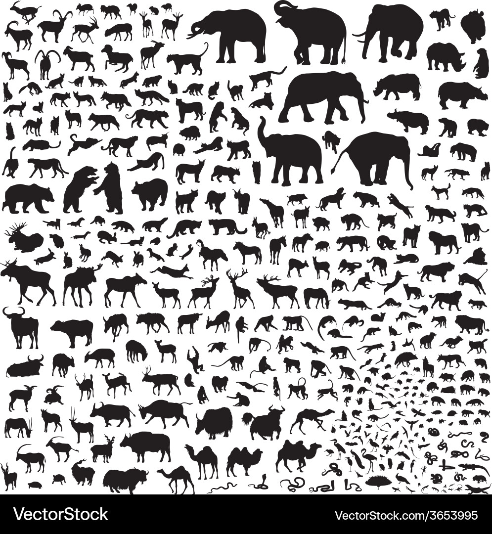 Animal Silhouettes of Asia Vector Image