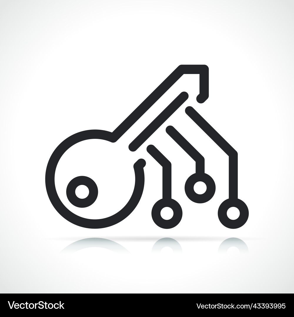 Digital encryption key line icon vector image