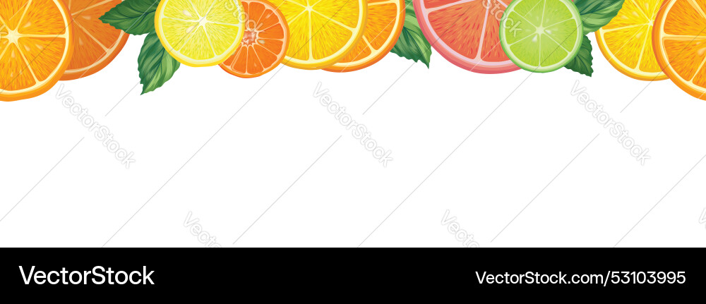 Fruits citrus seamless background fresh slice Vector Image