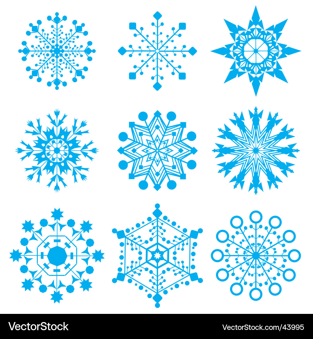 Winter Snowflake Collection Vector Image