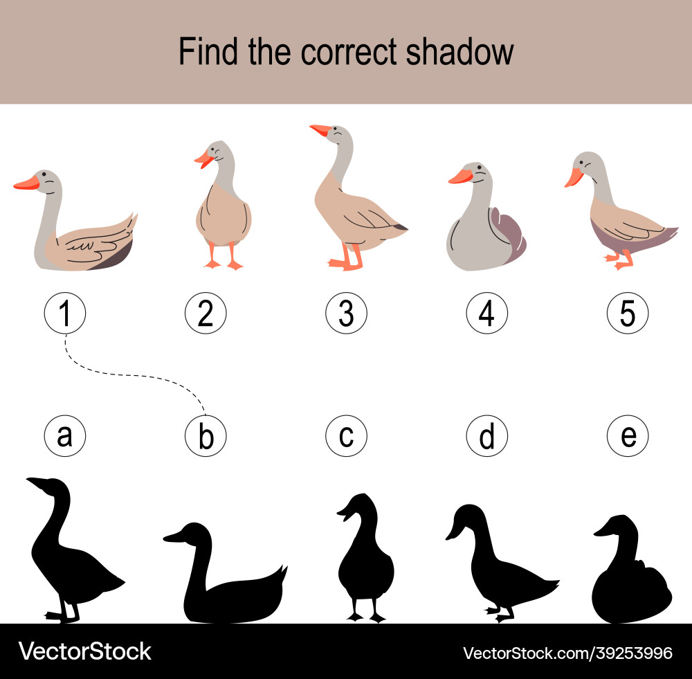 Find the correct shadow puzzle with different Vector Image