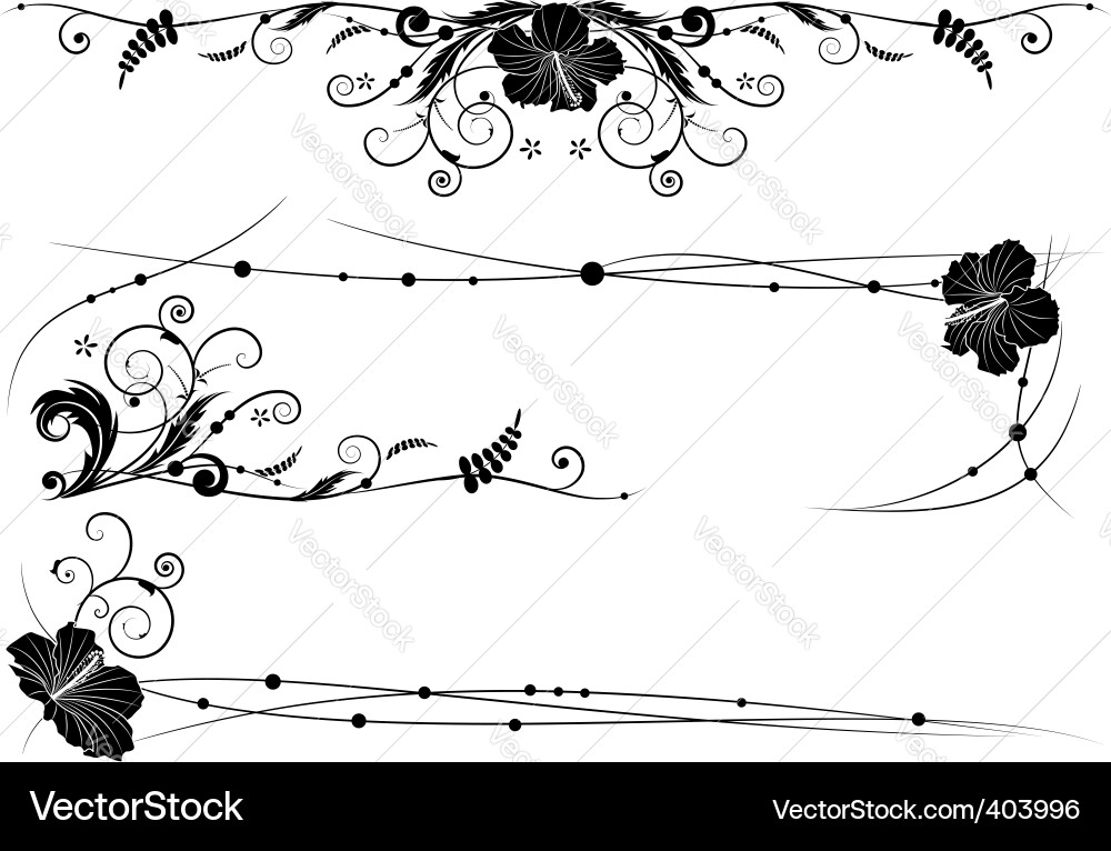 Floral Elements and Patterns Vector Image