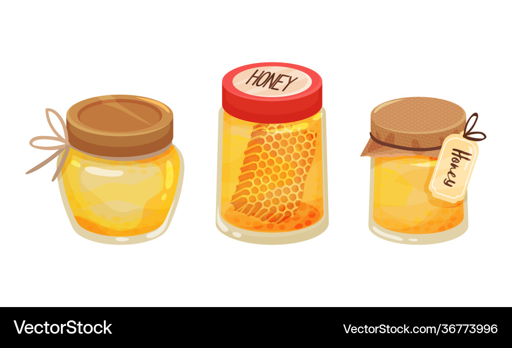Glass jar with sugary honey fluid and honeycomb Glass jar with sugary honey fluid and honeycomb vector image