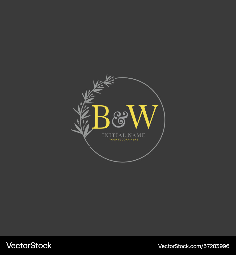 Initial logo templates with botanical elements Vector Image