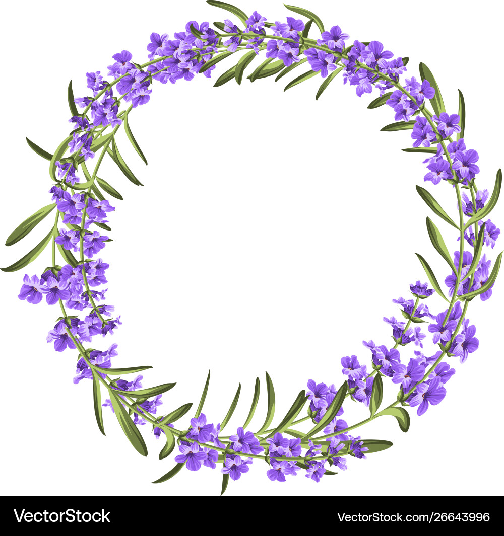 Lavender elegant wreath vector image