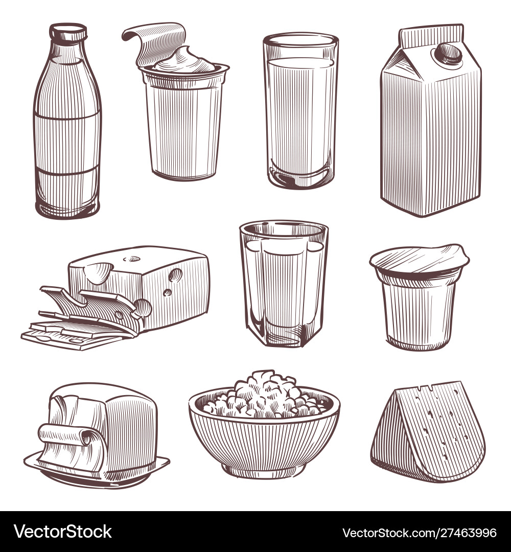 Sketch milk dairy farm fresh products vector image