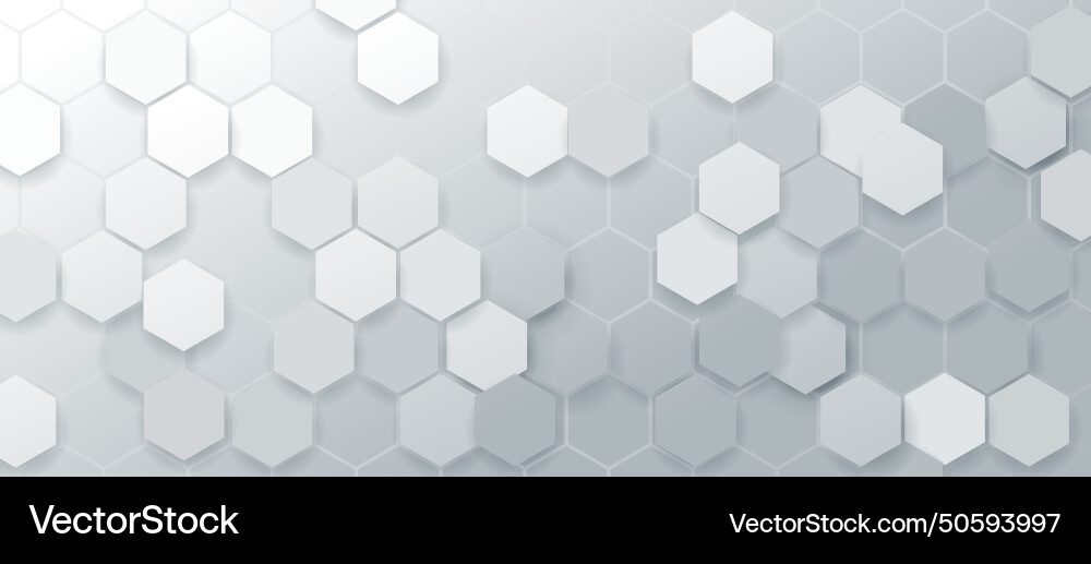 White Hexagon Texture Background Vector Image