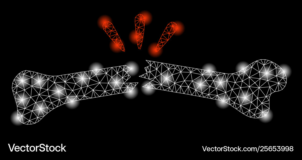 Bright mesh network broken bone with flare spots Bright mesh network broken bone with flare spots vector image