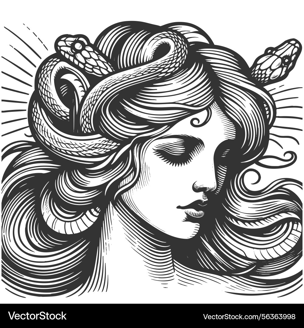 Medusa-inspired woman with serpents in hair art Medusa-inspired woman with serpents in hair art Vector Image