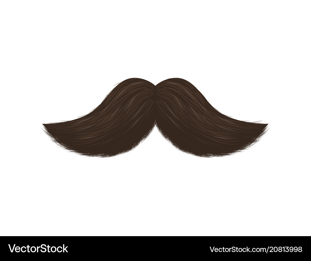 Realistic 3D Black Mustache Vector Image