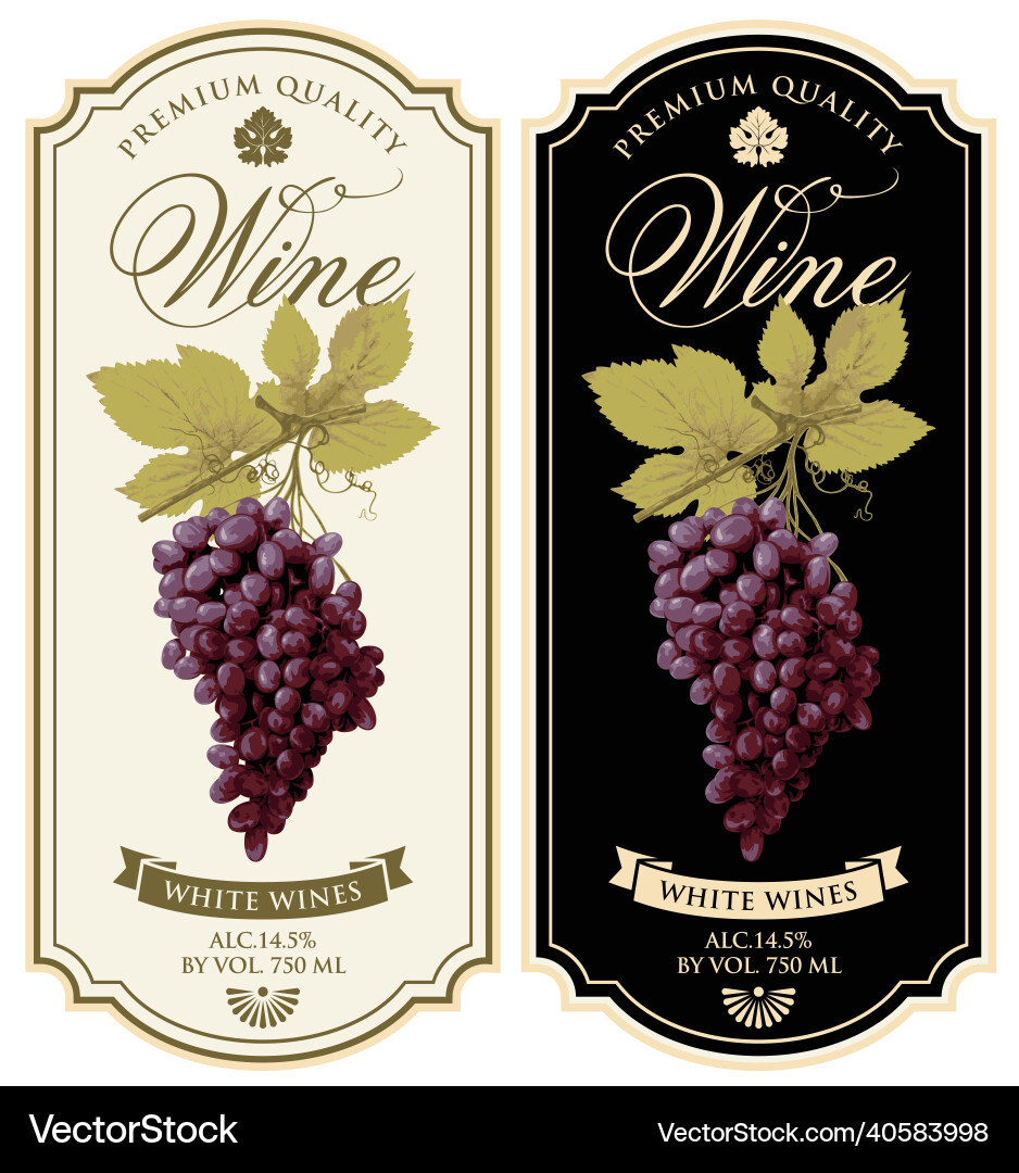 Wine Labels with Grapes & Script vector image