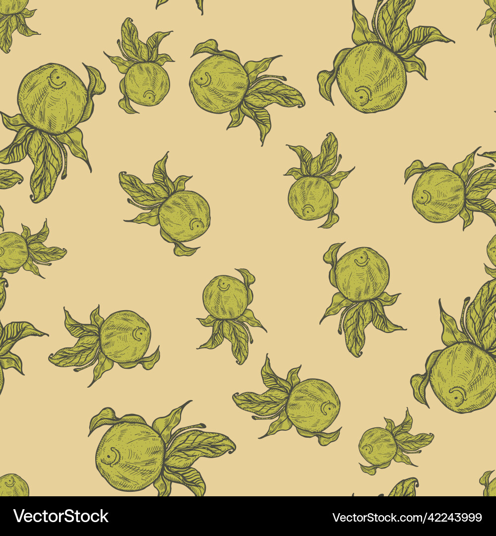 Seamless pattern engraved lemon on twig Vector Image