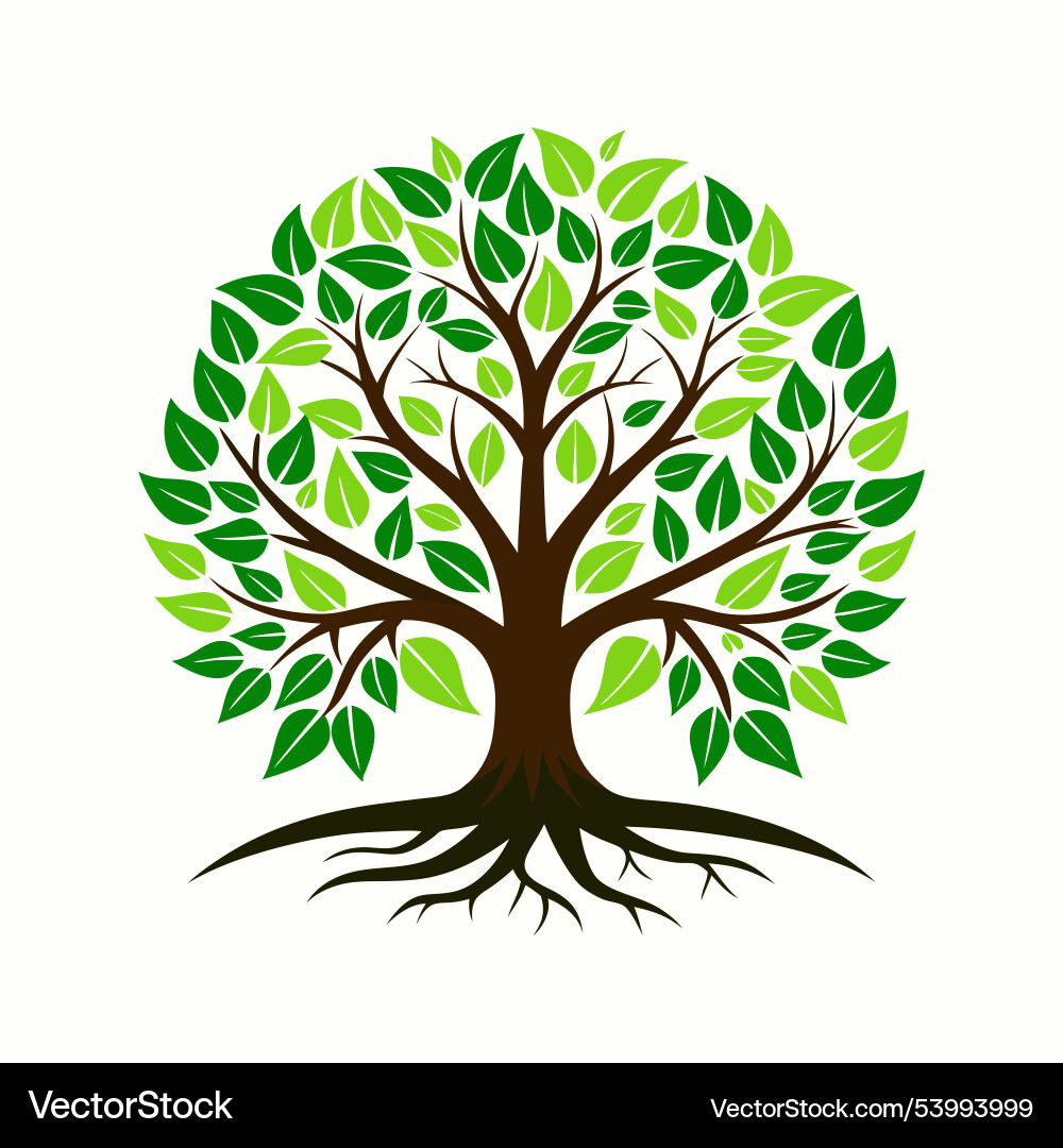 Tree roots flat style design Vector Image