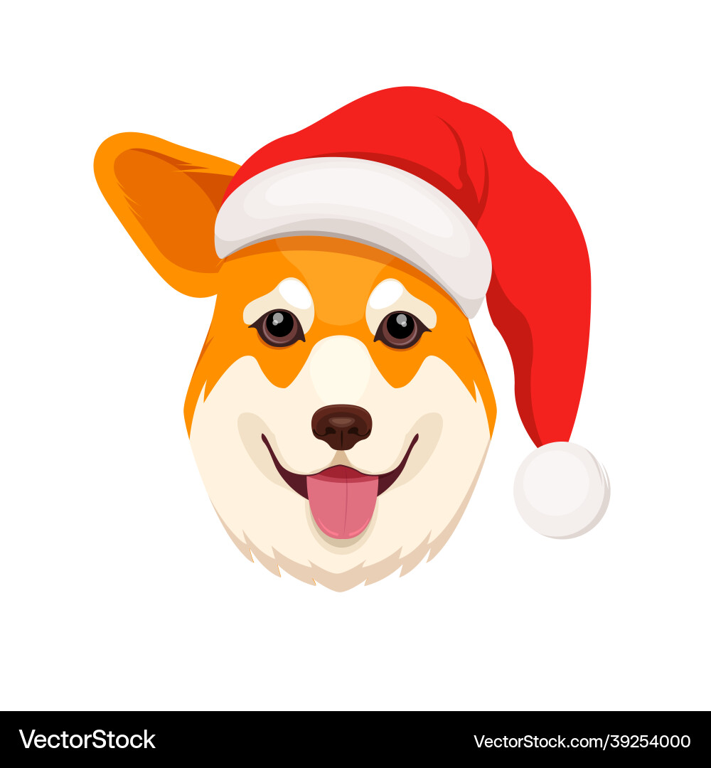 Funny corgi dog in santa claus hat Funny corgi dog in santa claus hat vector image