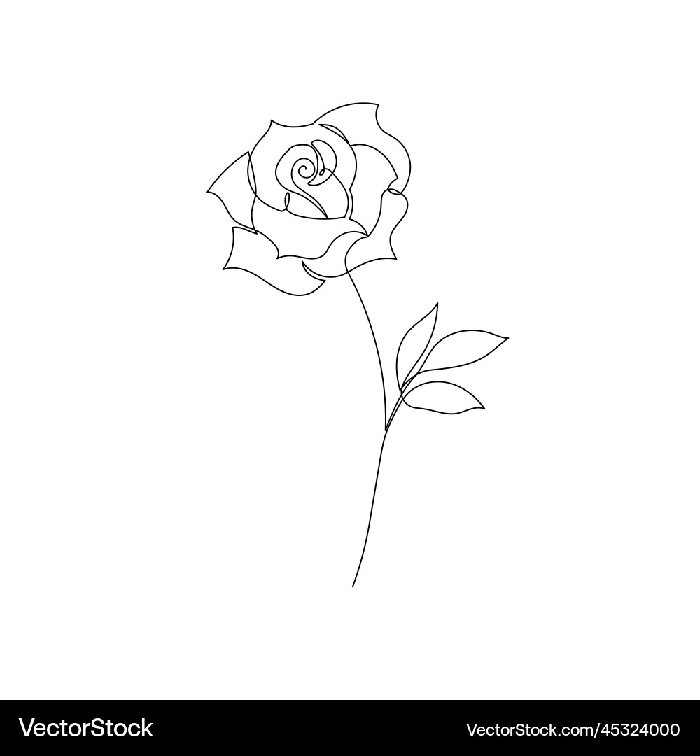 Outline rose flower logo one continuous line art Outline rose flower logo one continuous line art vector image